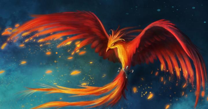 Феникс – птица, которая символизирует вечное обновление и бессмертие Чем питается птица феникс